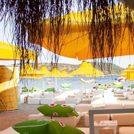 Vg & Bodrum